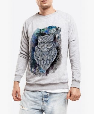 Чоловічий світшот OWL