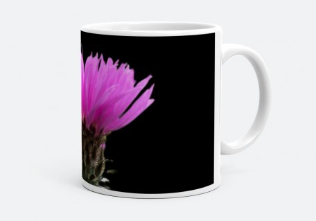 Чашка Квітка рожевої волошки