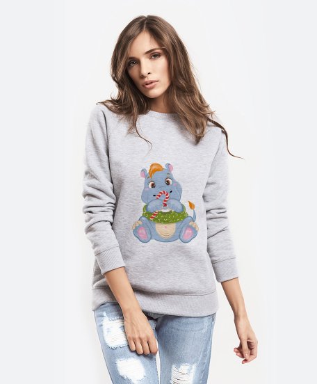 Жіночий світшот Baby Hippo with Christmas candy 