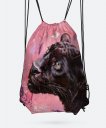 Рюкзак Pink panther