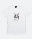 Чоловіча футболка Cute kitten 