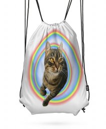 Рюкзак радужный кот