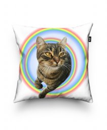 Подушка квадратна радужный кот