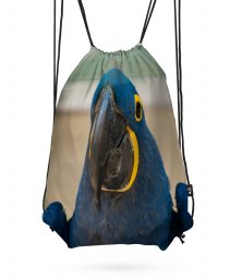 Рюкзак синий попугай