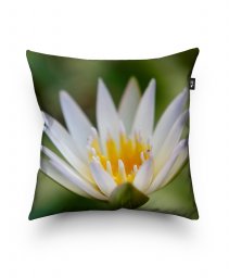 Подушка квадратна White Lily Flower