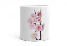 Чашка гілка квітів абрикоса