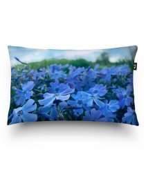 Подушка прямокутна Блакитні квіти