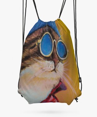 Рюкзак кот в синих очках