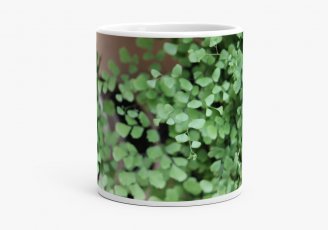 Чашка Лиственный зеленый бум