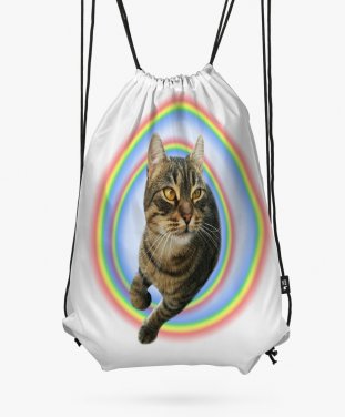 Рюкзак радужный кот