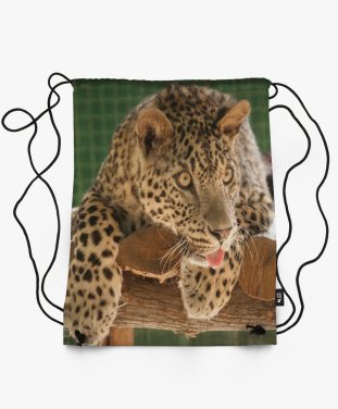 Рюкзак леопард