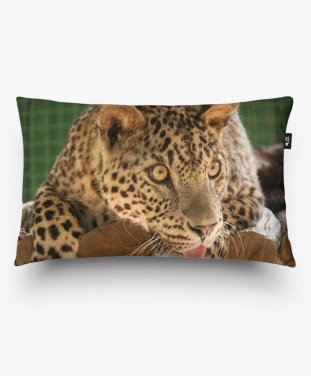 Подушка прямокутна леопард