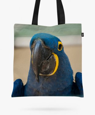 Авоська синий попугай