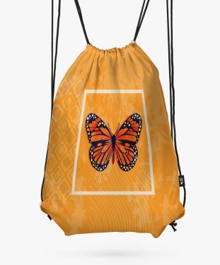 Рюкзак Яскравий метелик