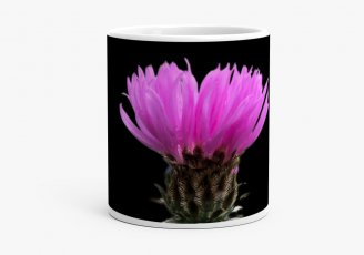 Чашка Квітка рожевої волошки