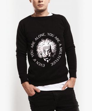 Чоловічий світшот Ейнштейн і чисельність