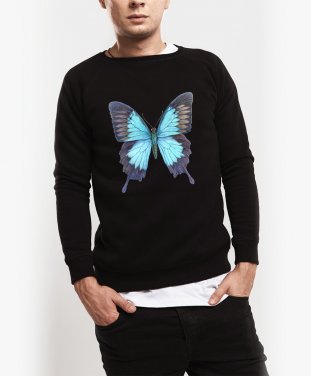 Чоловічий світшот Blue butterfly