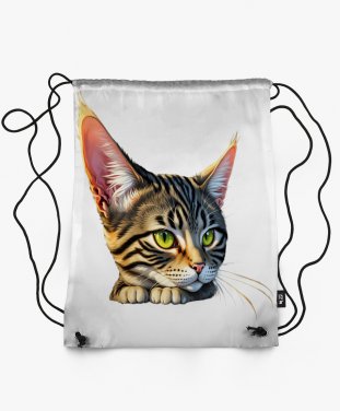 Рюкзак Красивий смугастий кіт