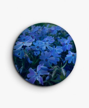 Значок Блакитні квіти