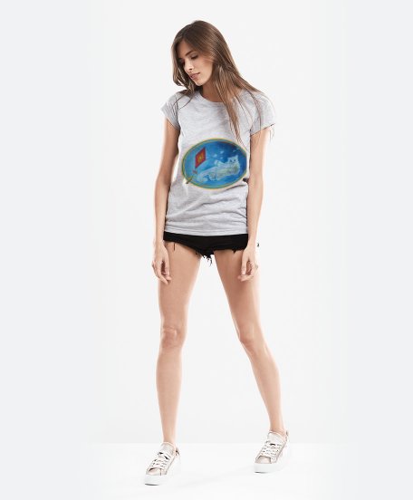 Жіноча футболка Котохмаринка з повітряним змієм