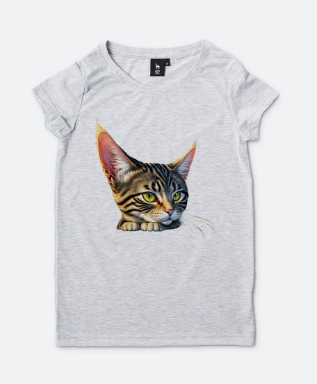 Жіноча футболка Красивий смугастий кіт