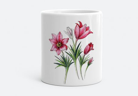 Чашка Квітка Сон - Трава